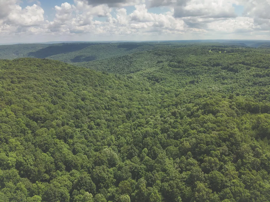 0 Long Fork Creek Road Spencer TN 38585