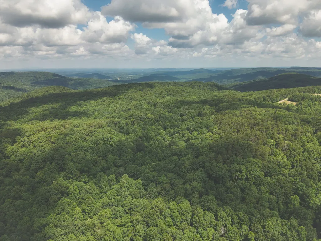0 Long Fork Creek Road Spencer TN 38585