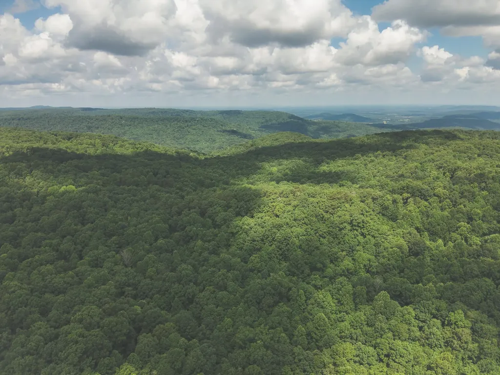 0 Long Fork Creek Road Spencer TN 38585