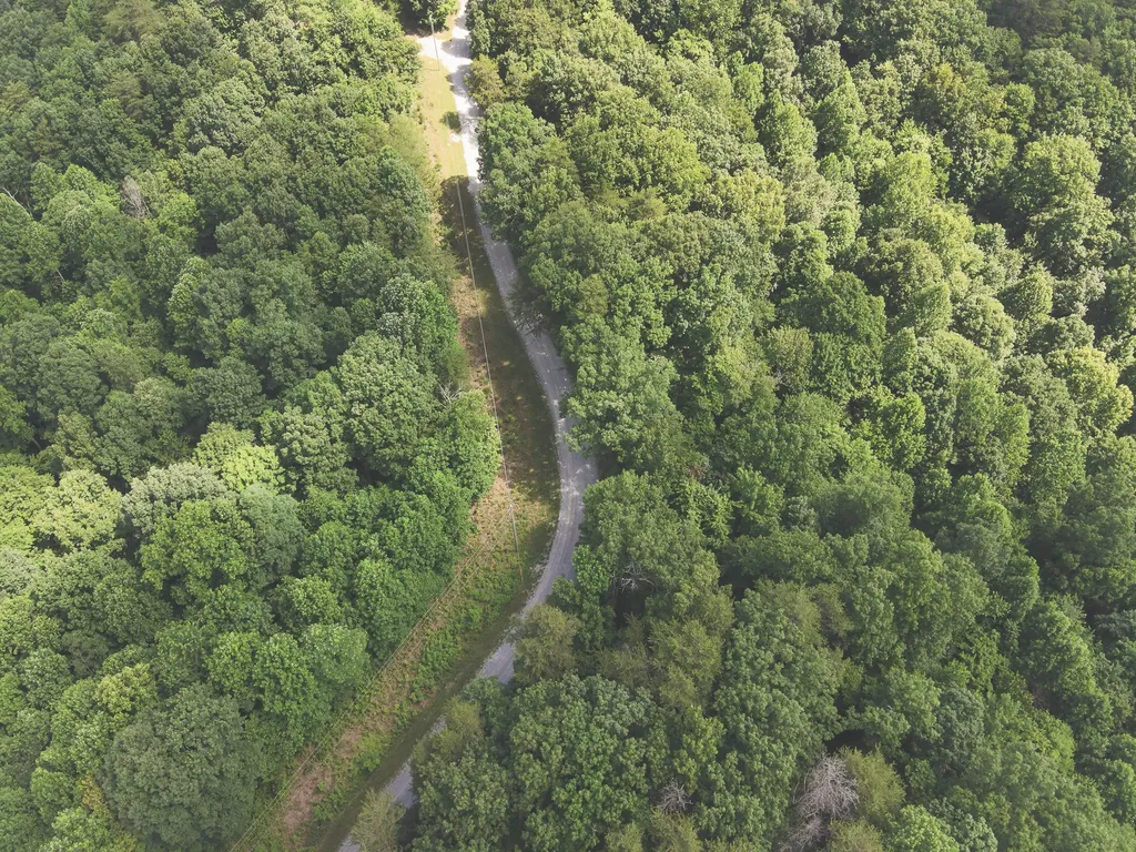 0 Long Fork Creek Road Spencer TN 38585