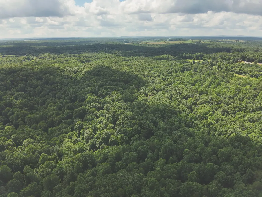 0 Long Fork Creek Road Spencer TN 38585