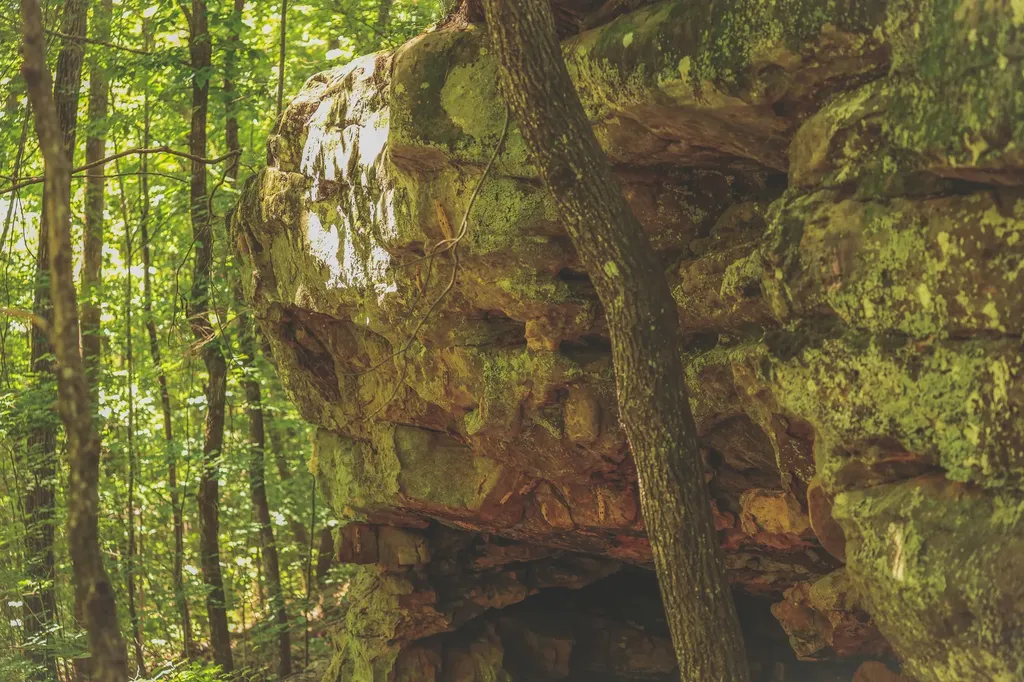 0 Long Fork Creek Road Spencer TN 38585