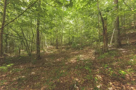 0 Long Fork Creek Road Spencer TN 38585