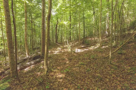 0 Long Fork Creek Road Spencer TN 38585