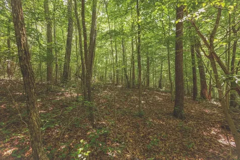 0 Long Fork Creek Road Spencer TN 38585