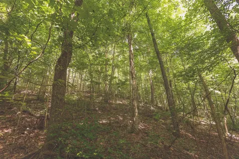 0 Long Fork Creek Road Spencer TN 38585