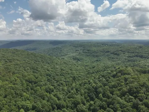 0 Long Fork Creek Road Spencer TN 38585