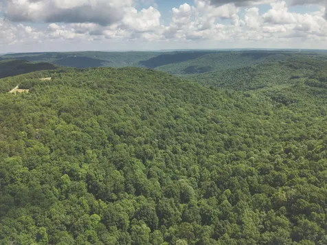 0 Long Fork Creek Road Spencer TN 38585
