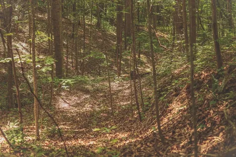 0 Long Fork Creek Road Spencer TN 38585