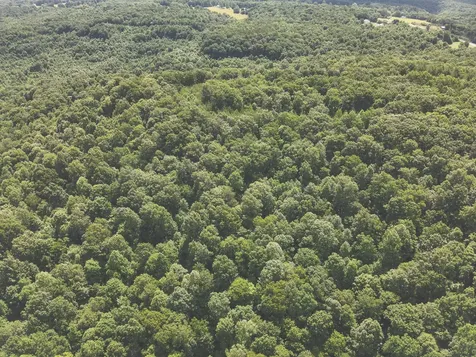 0 Long Fork Creek Road Spencer TN 38585