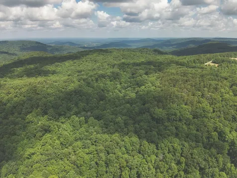 0 Long Fork Creek Road Spencer TN 38585