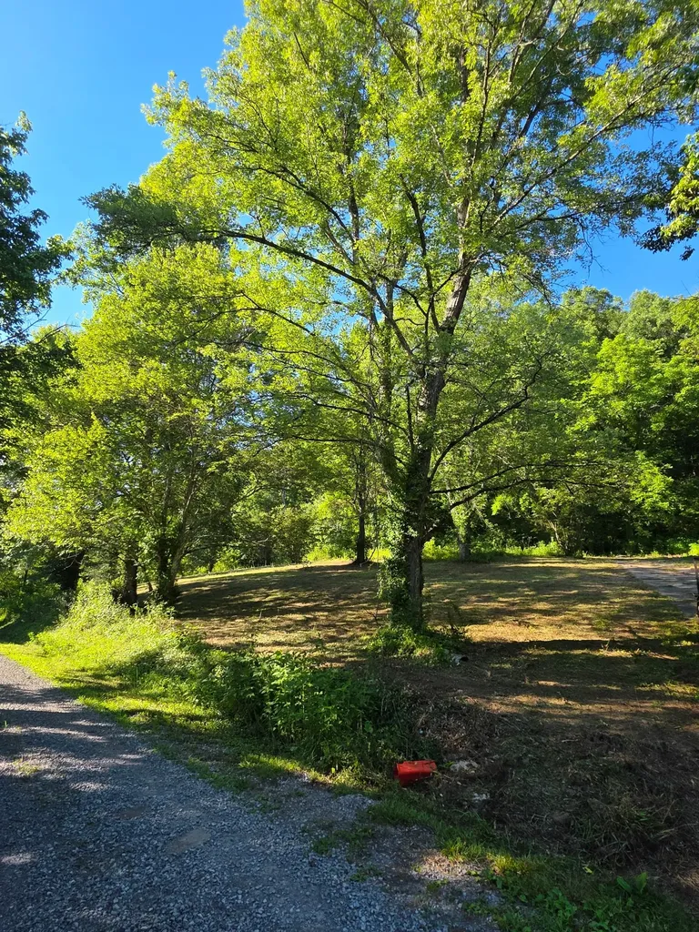 2331 Gilley Hill Road Bradyville TN 37026