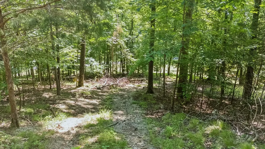 1018 Walnut Court Goodlettsville TN 37072