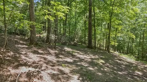 1018 Walnut Court Goodlettsville TN 37072