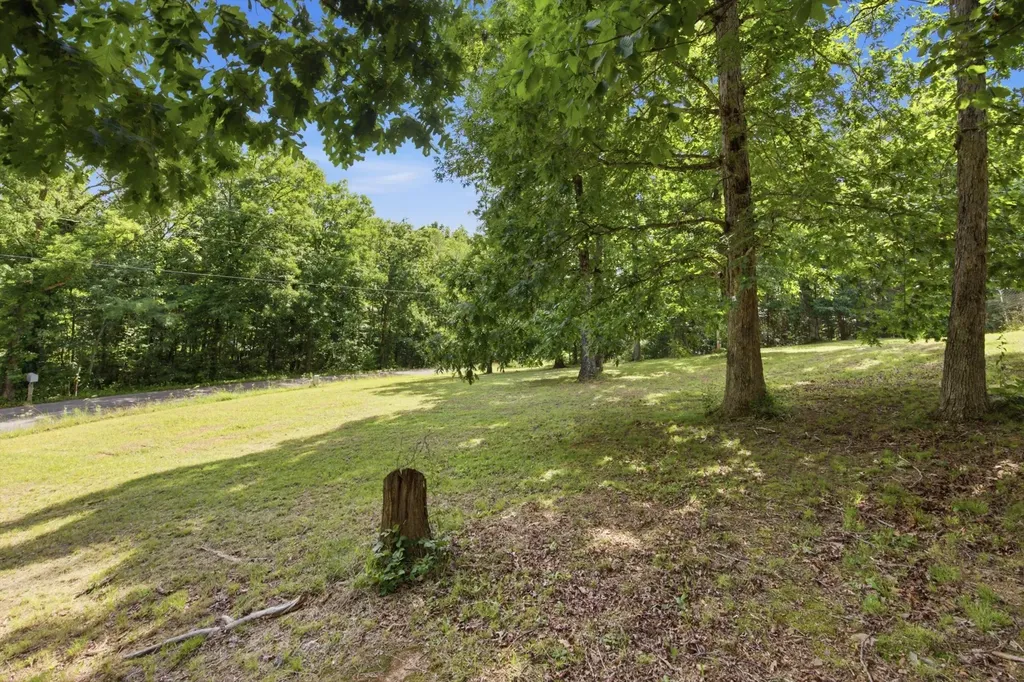 40 Black Mountain Dunlap TN 37327