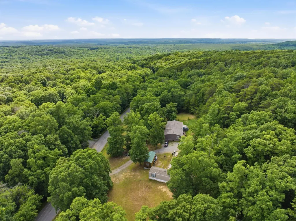 40 Black Mountain Dunlap TN 37327