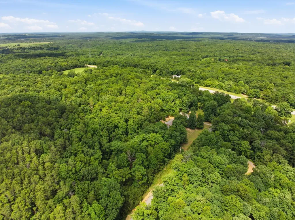 40 Black Mountain Dunlap TN 37327