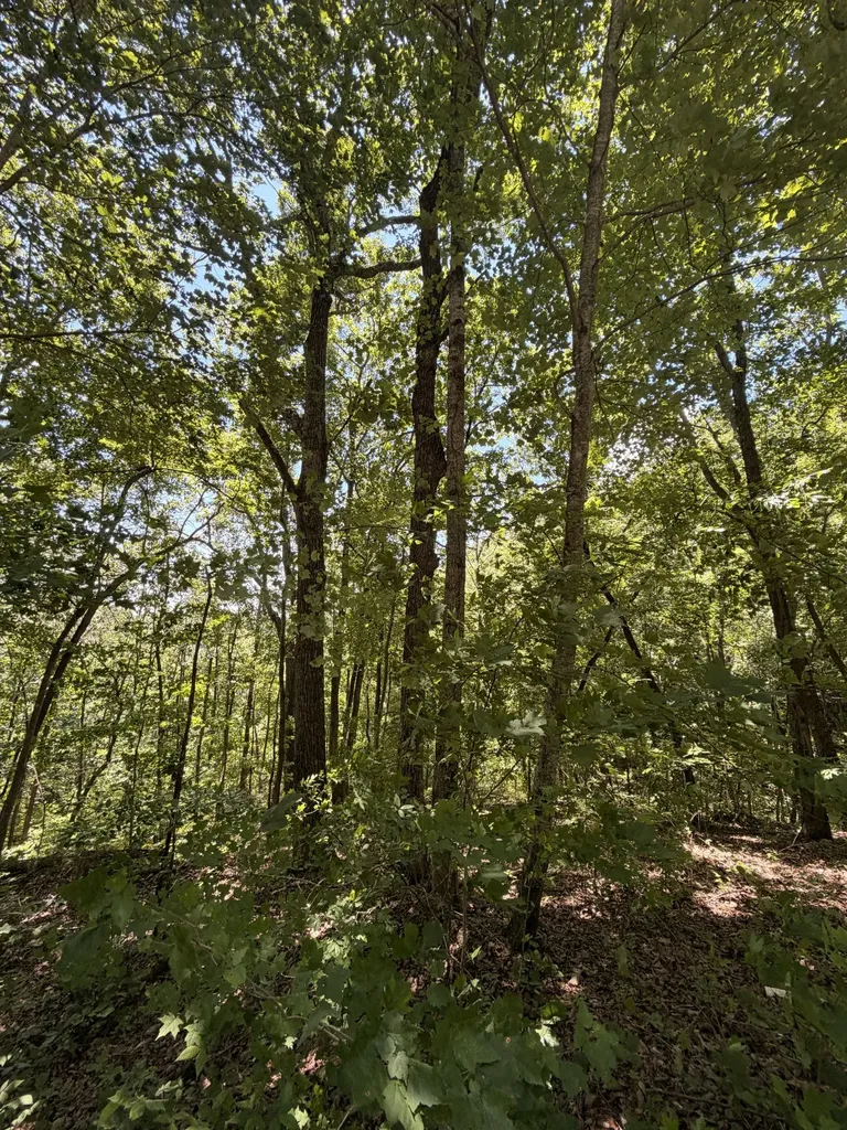 0 Woodcrest Drive Smithville TN 37166