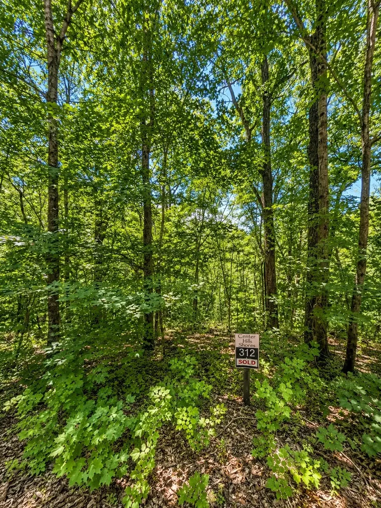 0 Woodcrest Drive Smithville TN 37166