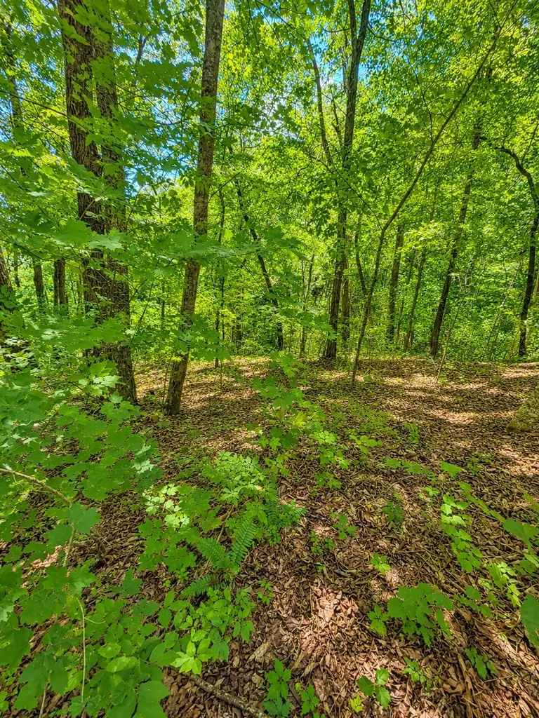 0 Woodcrest Drive Smithville TN 37166
