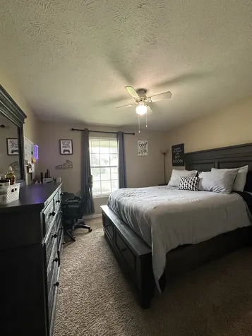 133 Buttonwood Drive Jackson TN 38305