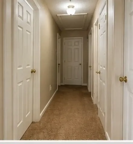 133 Buttonwood Drive Jackson TN 38305