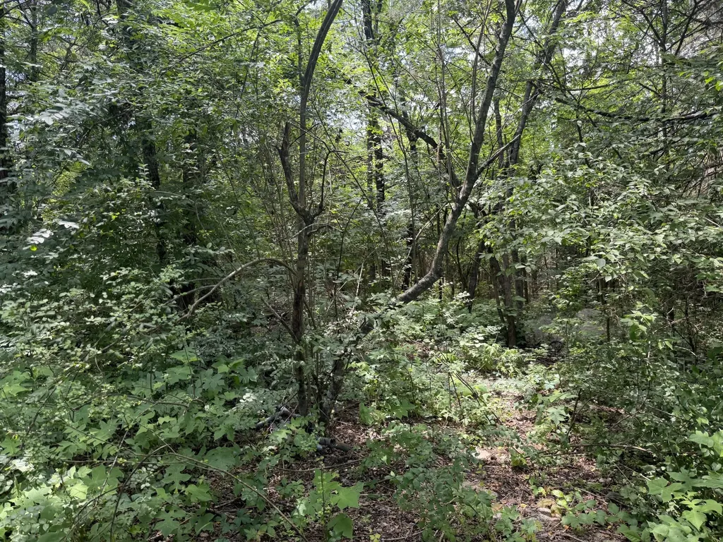 4750 Franklin Road Lebanon TN 37090