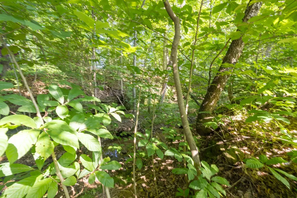2027 Skyline Drive Goodlettsville TN 37072