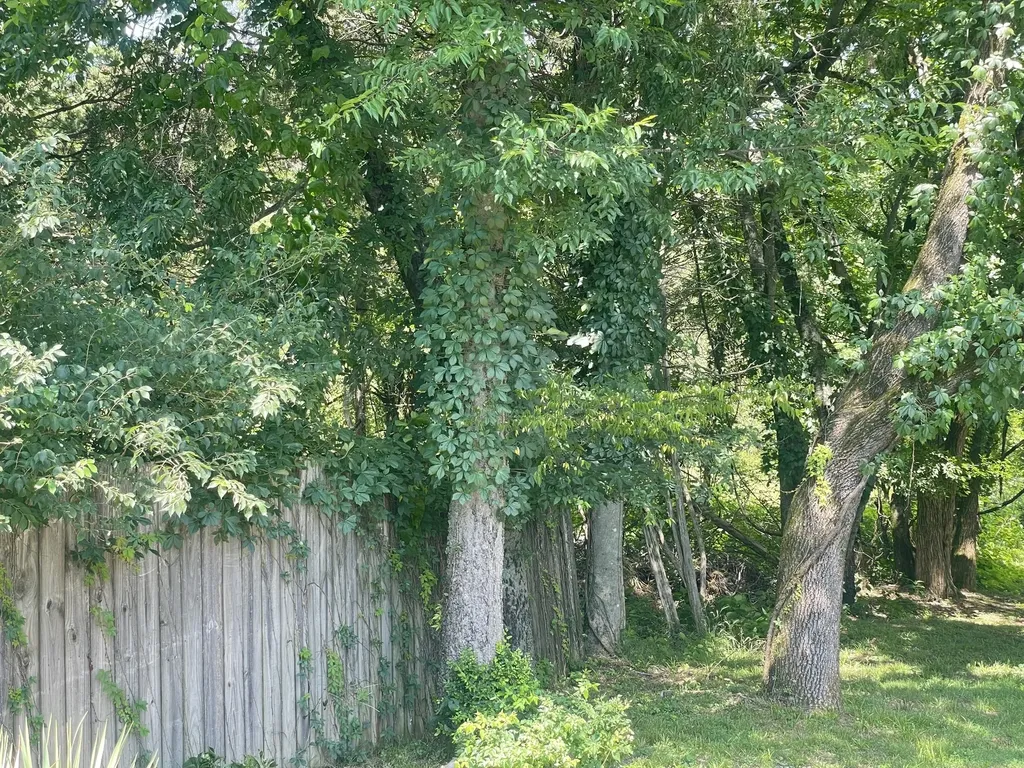 0 Stark Knob Road Hendersonville TN 37075