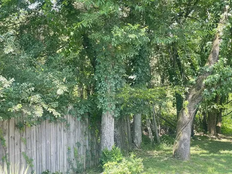 0 Stark Knob Road Hendersonville TN 37075