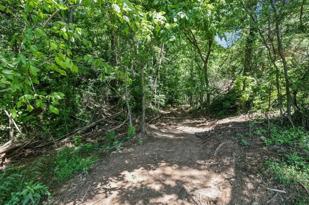2219A Mack Benderman Road Culleoka TN 38451