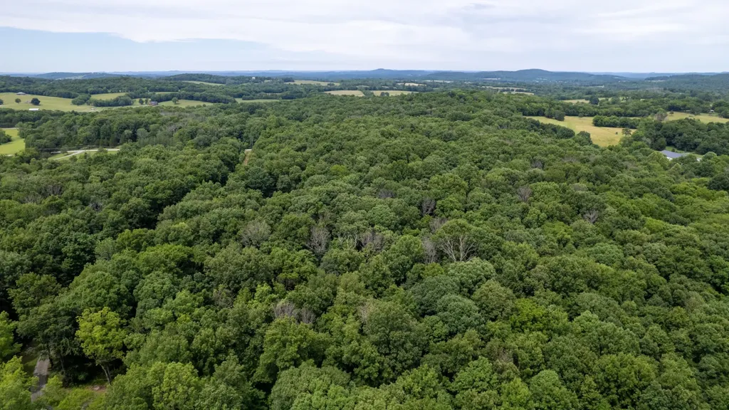3398 Poplar Hill Road Watertown TN 37184