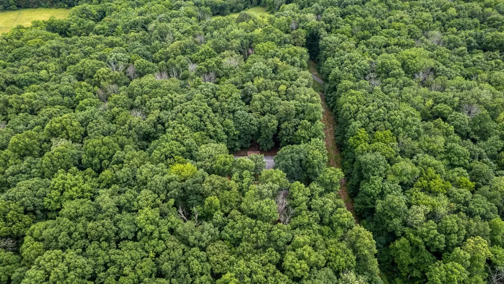 3398 Poplar Hill Road Watertown TN 37184