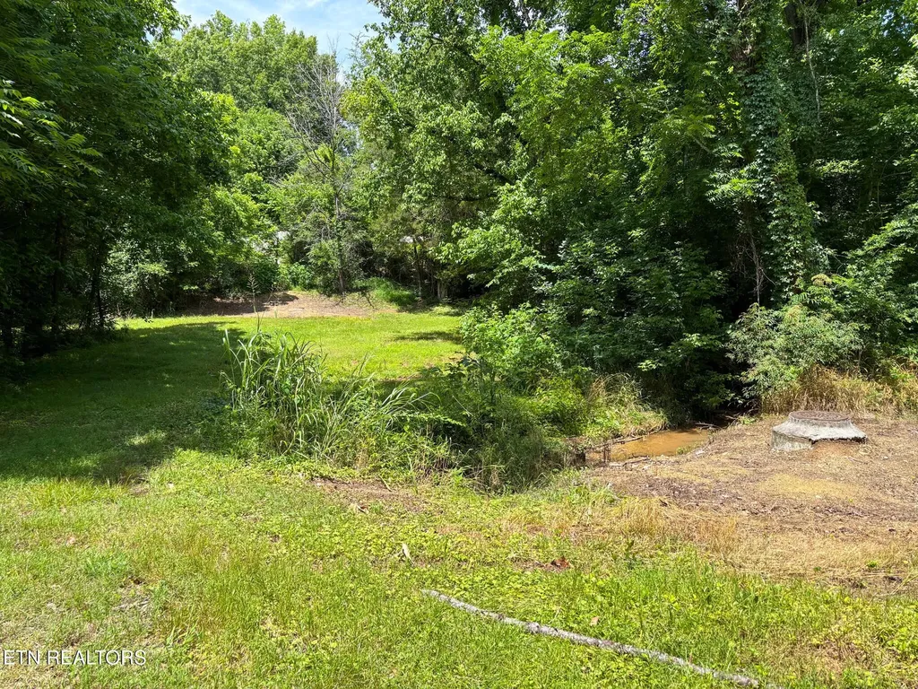119 Carey Street Vonore TN 37885