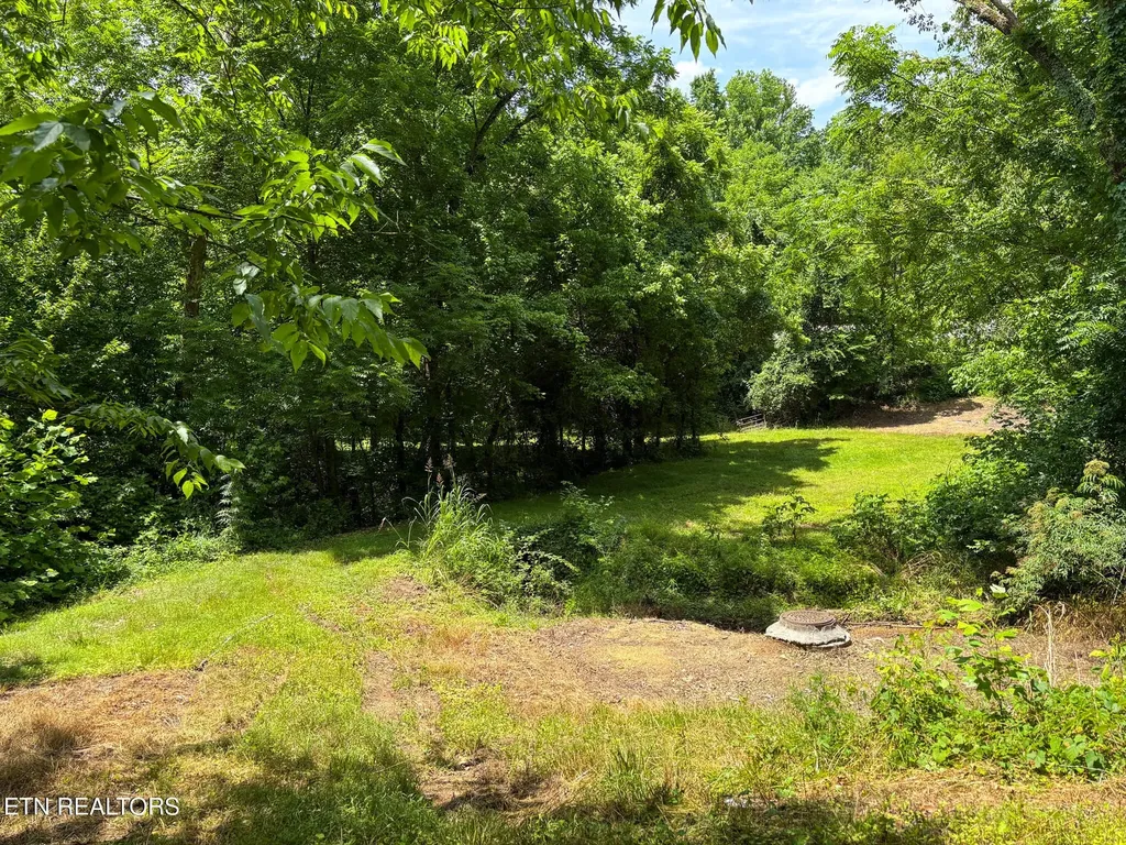 119 Carey Street Vonore TN 37885