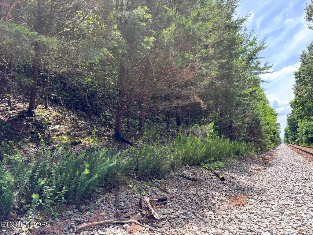 119 Carey Street Vonore TN 37885