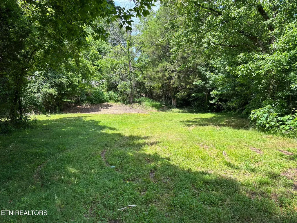119 Carey Street Vonore TN 37885