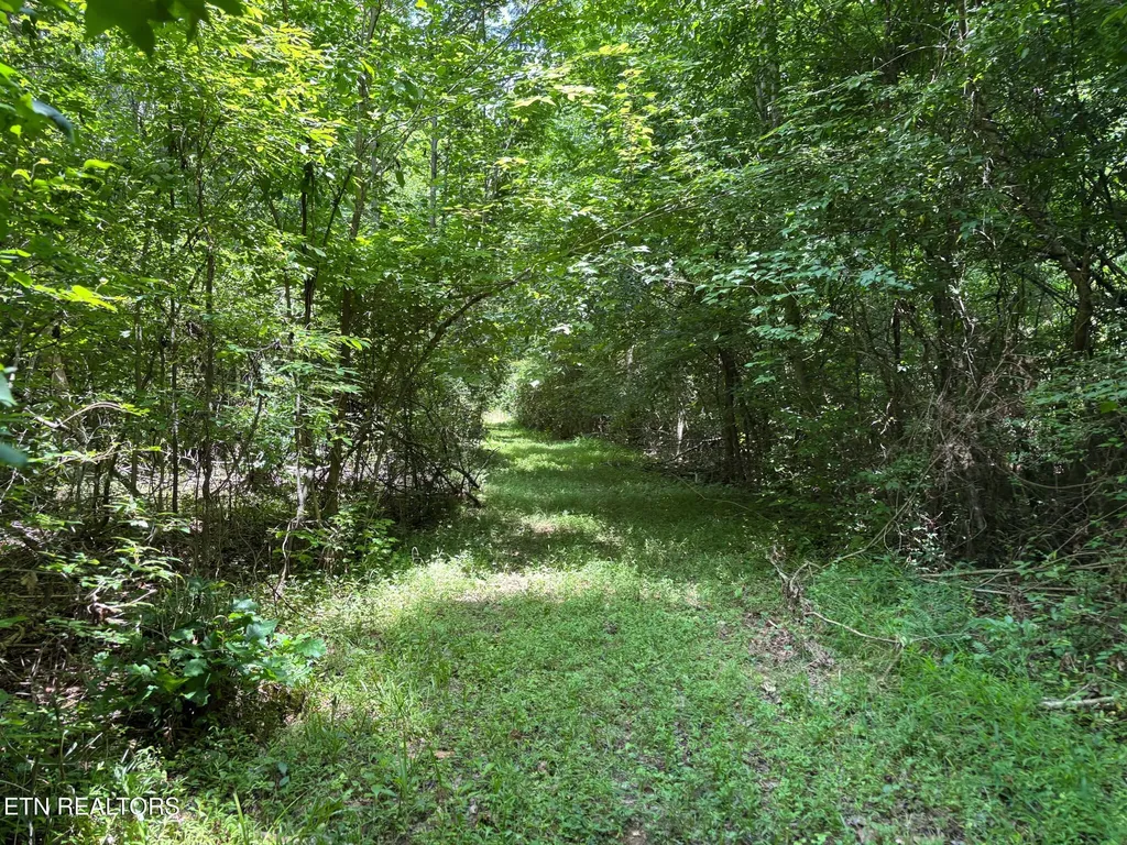 119 Carey Street Vonore TN 37885