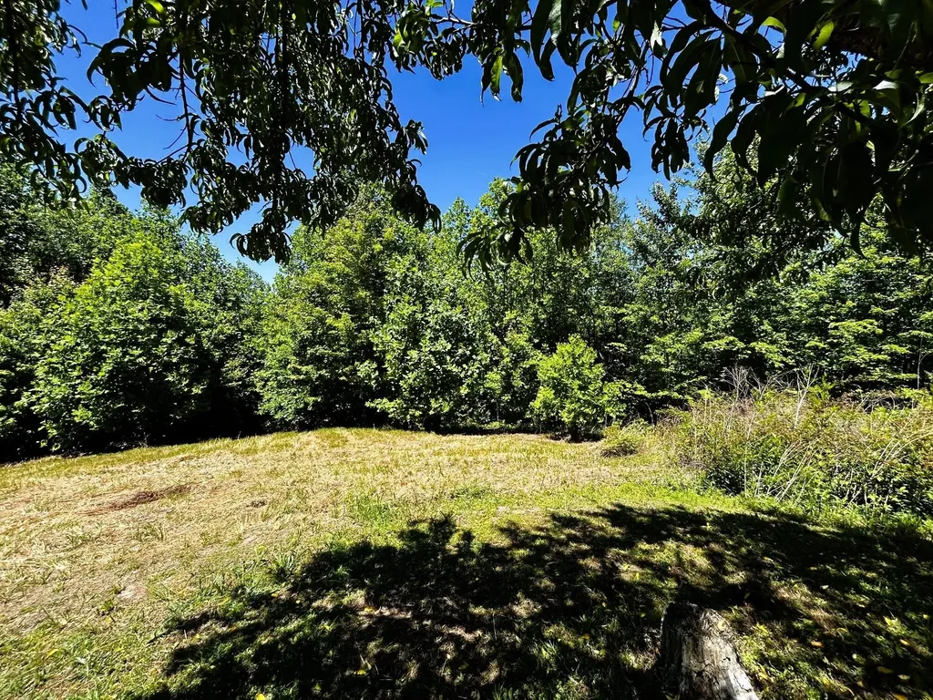 161 Willie Shell Road Reliance TN 37369