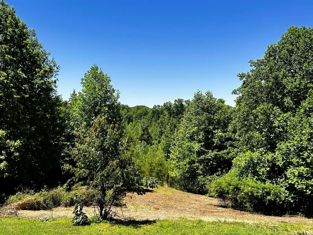 161 Willie Shell Road Reliance TN 37369
