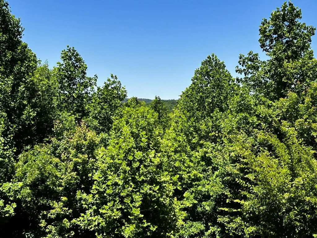 161 Willie Shell Road Reliance TN 37369