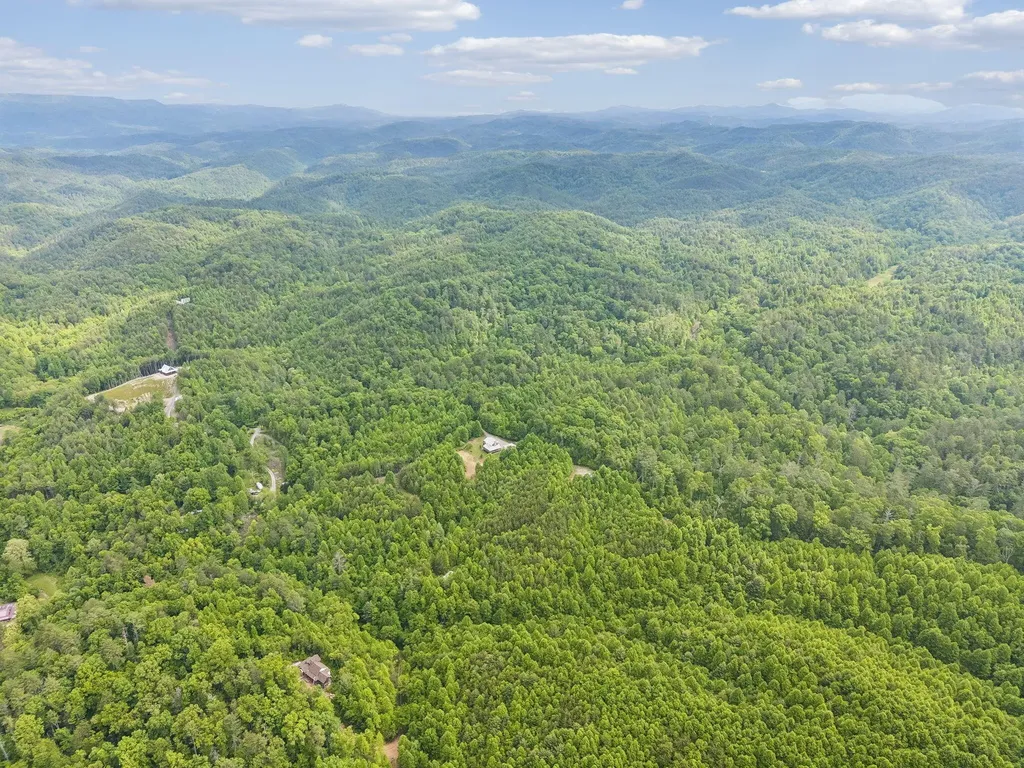 161 Willie Shell Road Reliance TN 37369