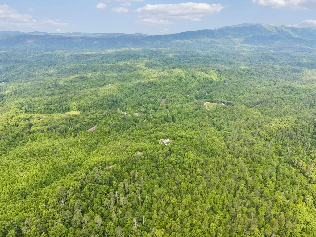 161 Willie Shell Road Reliance TN 37369