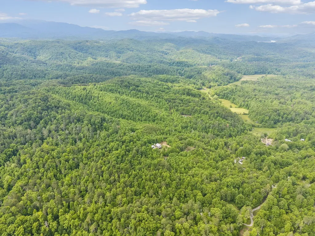 161 Willie Shell Road Reliance TN 37369