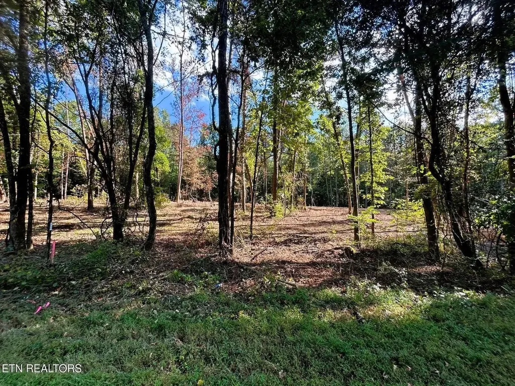 55 Pleasant Hill Road Ten Mile TN 37880