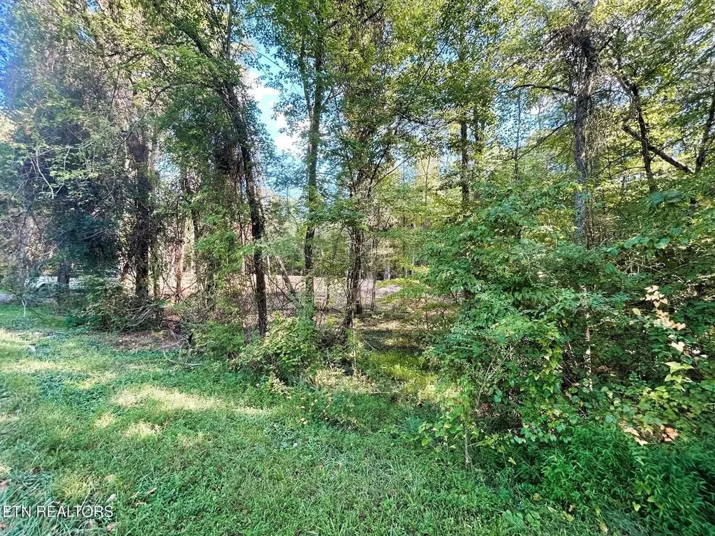 55 Pleasant Hill Road Ten Mile TN 37880