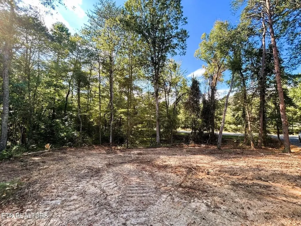 55 Pleasant Hill Road Ten Mile TN 37880