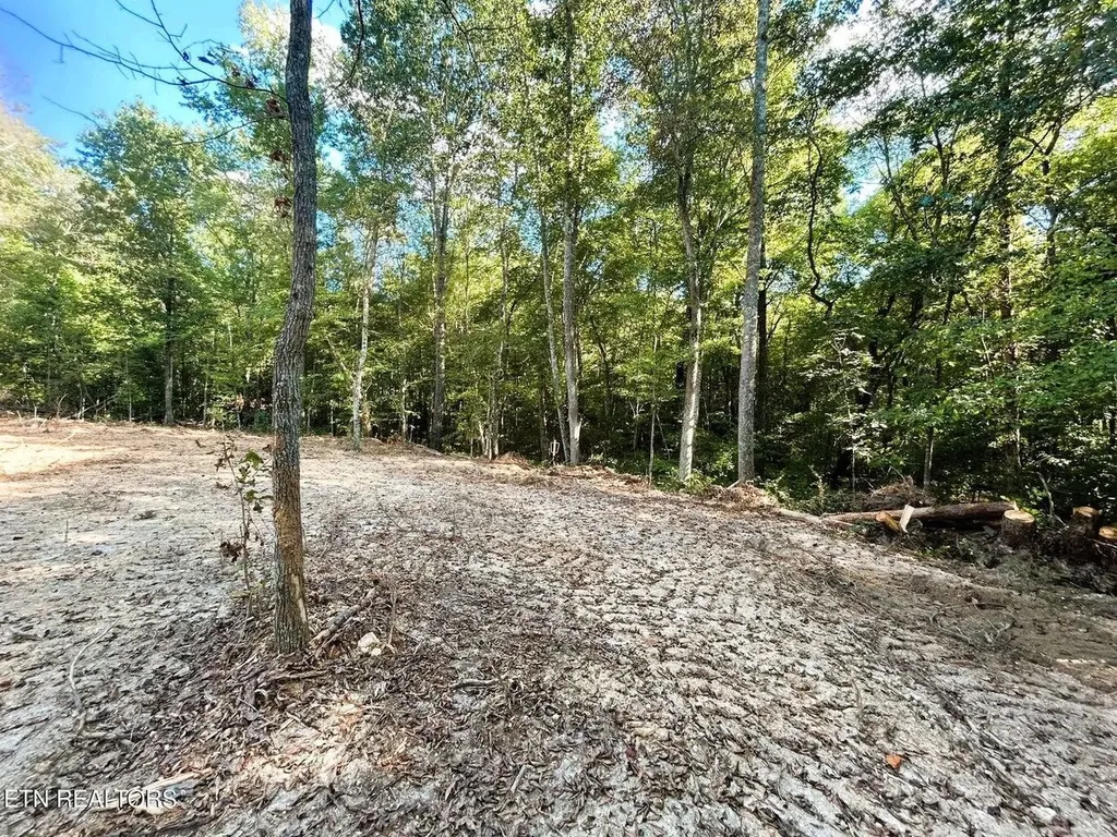 55 Pleasant Hill Road Ten Mile TN 37880