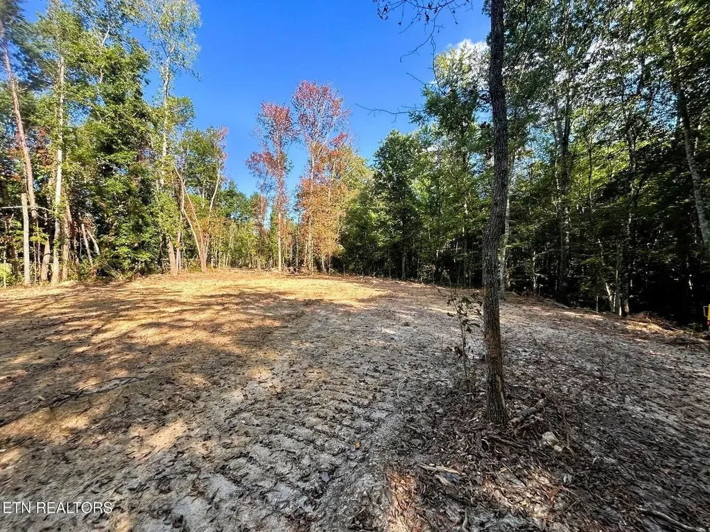 55 Pleasant Hill Road Ten Mile TN 37880