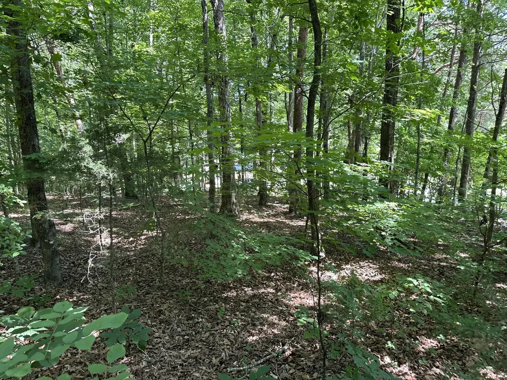 2113 Highway 163 Riceville TN 37370